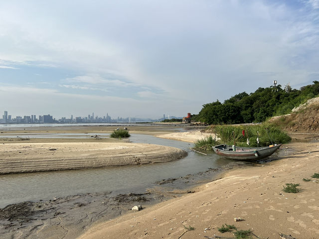 情人節的浪漫之旅 - 白泥海邊散步·享受美好時光!🌅❤️ 情人節的浪漫之旅 - 白泥海邊散步·享受美好時光!🌅❤️