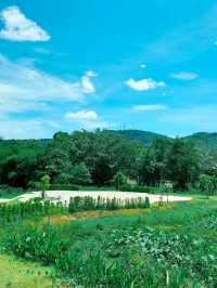 DEPEND ON Cafe, Hat Yai, Songkhla