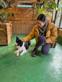PAW Pet Animal World Nagasaki