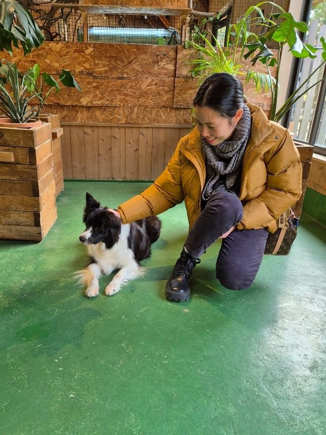 PAW Pet Animal World Nagasaki