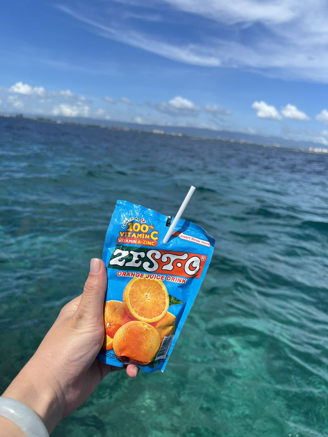菲律賓🇵🇭宿霧 資生堂島Caohagan 