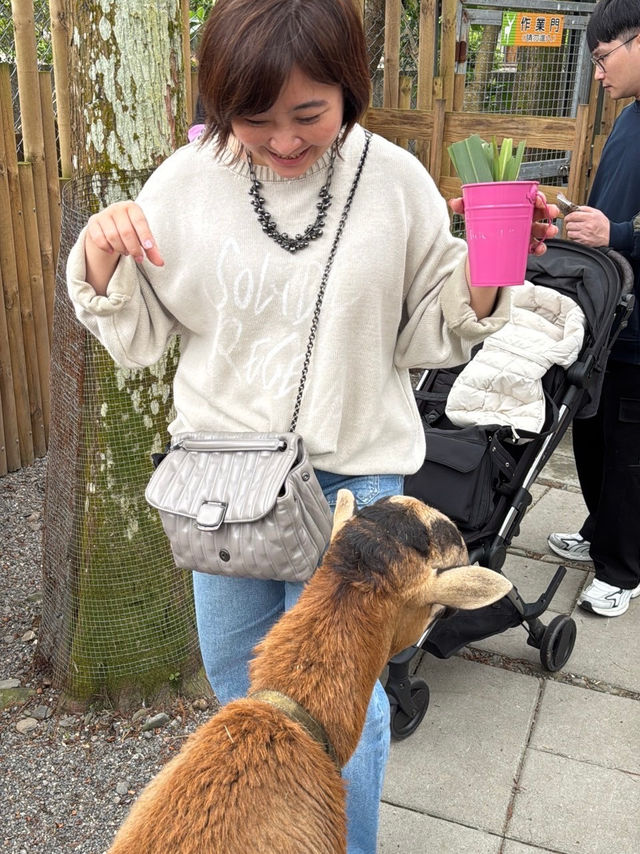 宜蘭可愛動物園區！與家人開心的年前旅行❤️