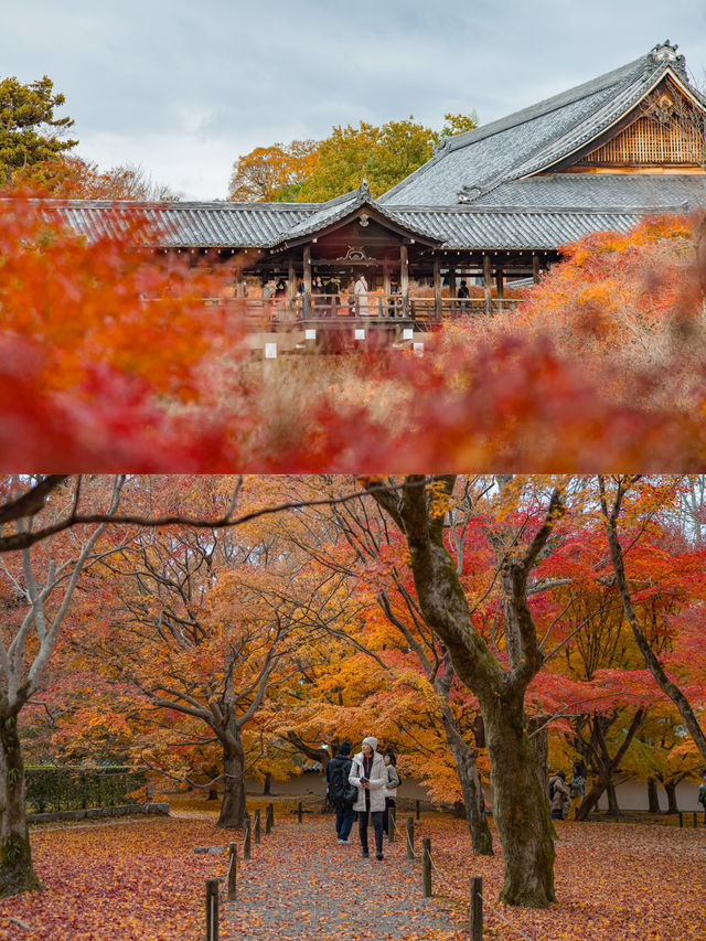 Tofukuji Temple หนึ่งในจุดชมใบไม้เปลี่ยนสีเกียวโต🍁