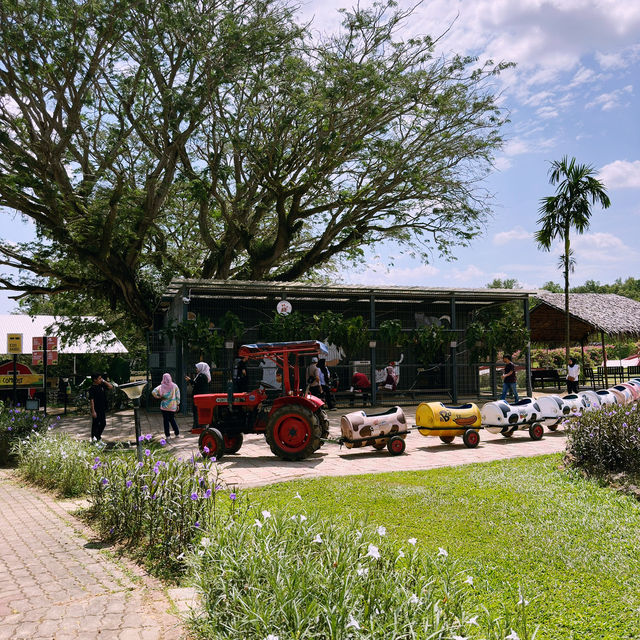 Fresh From the Farm: A Dairy Delight at Farm Fresh @UPM!