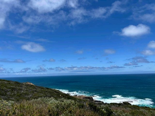 A Whisker Away from Paradise: Cape Schanck Wonders