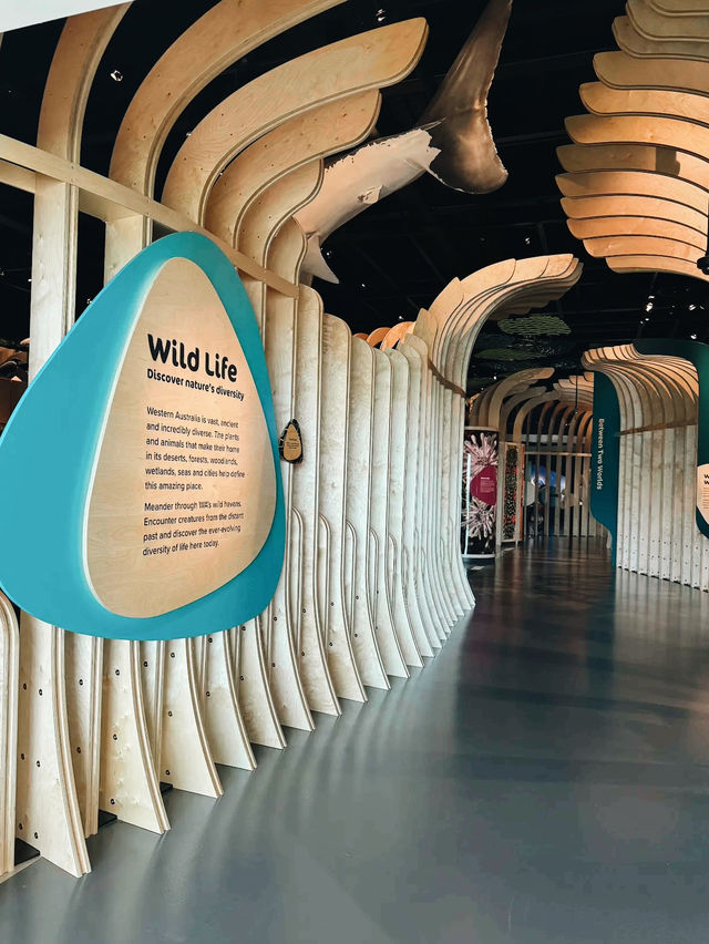 WA Museum Boola Bardip