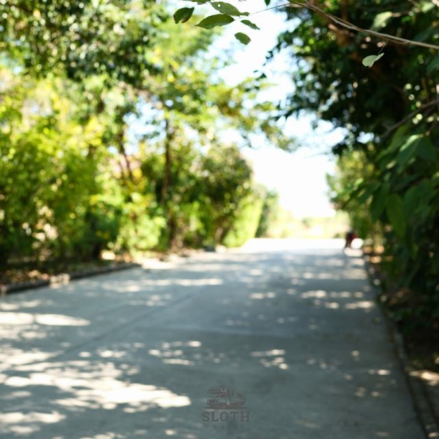 💯 วัดสุวรรณภูมิพุทธชยันตี 
