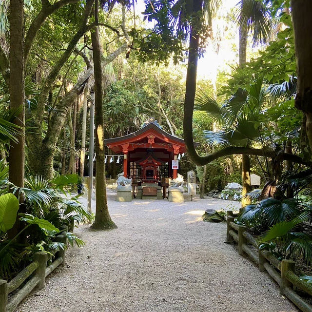 【宮崎県】ジャングルの中の神社？　-青島神社-