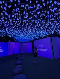 🇸🇬 Impressions of Monet: The Experience