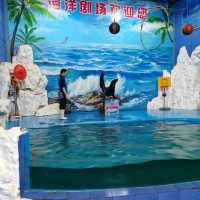 【中国/福州/左海海洋ワールド】