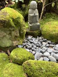 【神奈川県、鎌倉市最古の杉本寺で美しい苔の絨毯と観音様のお堂を参る】