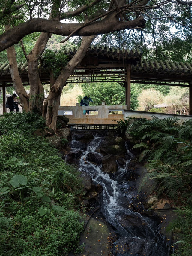 Zhishan Garden: A Hidden Gem of Classical Elegance in Taipei