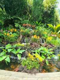 National Orchid Garden