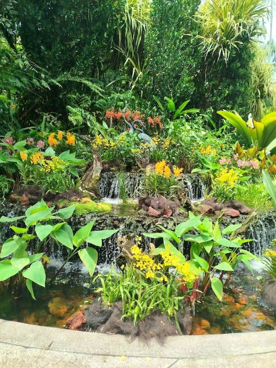 National Orchid Garden