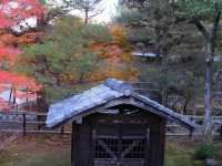 Điểm đến lý tưởng vào mùa thu tại Kyoto