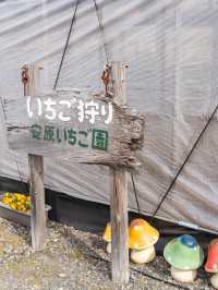 【岡山県/倉敷市】今年もこの季節がやってきた！！
