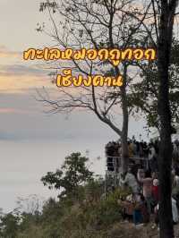 ทะเลหมอกภูทอก เชียงคาน – ฟีลดีมาก มาแล้วจะหลงรัก