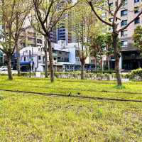 碧湖公園：在“城市綠洲裡尋找孩子的歡笑” 🌊🌳