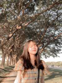 Visiting the path known as lover’s alley in Nay Pyi Taw