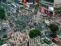 Shibuya in Motion: Tokyo’s Pulse at Dusk