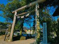 天岩戸神社西本宮で神秘体験⛩✨