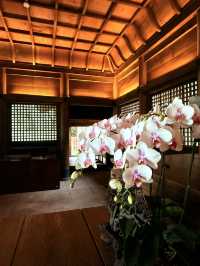 桃園｜全台保存最完整日本神社  「桃園神社」的歷史與建築印記