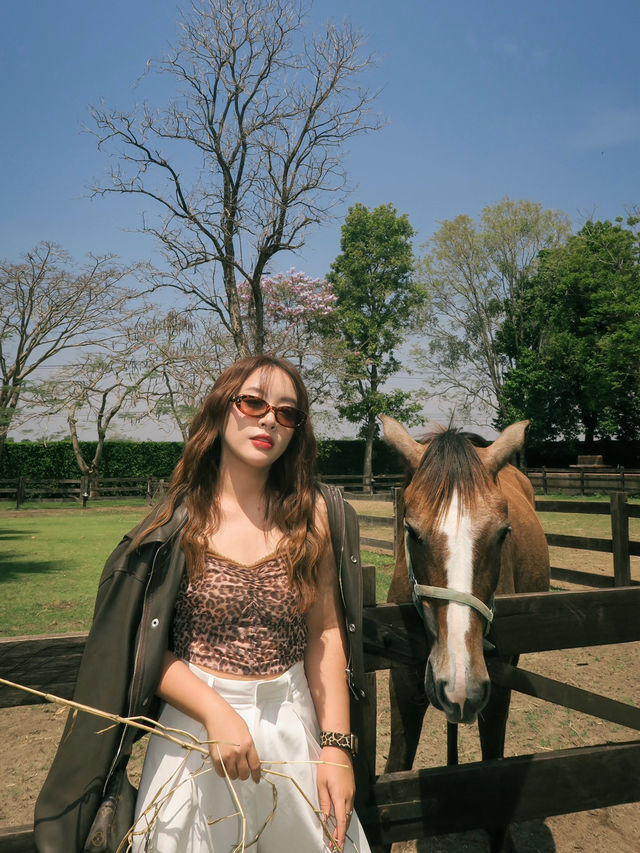 Trot Cafe Khaoyai ⛰️🐎