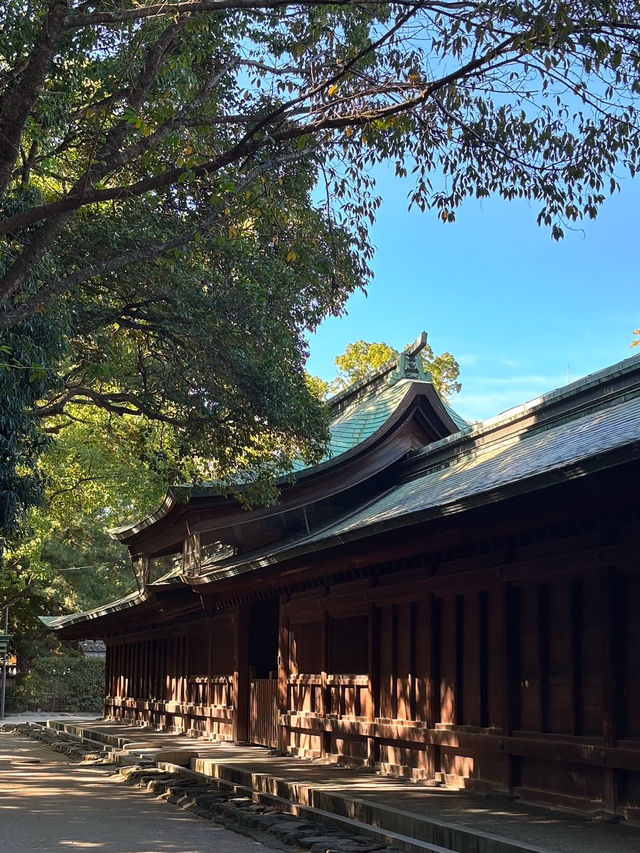 Hakozaki Shrine (筥崎宮)