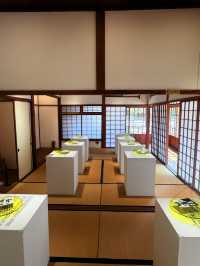 台中｜百年獄官宿舍變身漫畫時光隧道 九重葛怒放輝映日式建築群