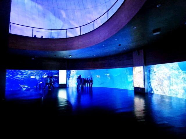 多麼神奇的水族館