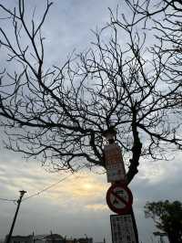 淡水老街金色水岸：河畔的浪漫與懷舊🌅🚶