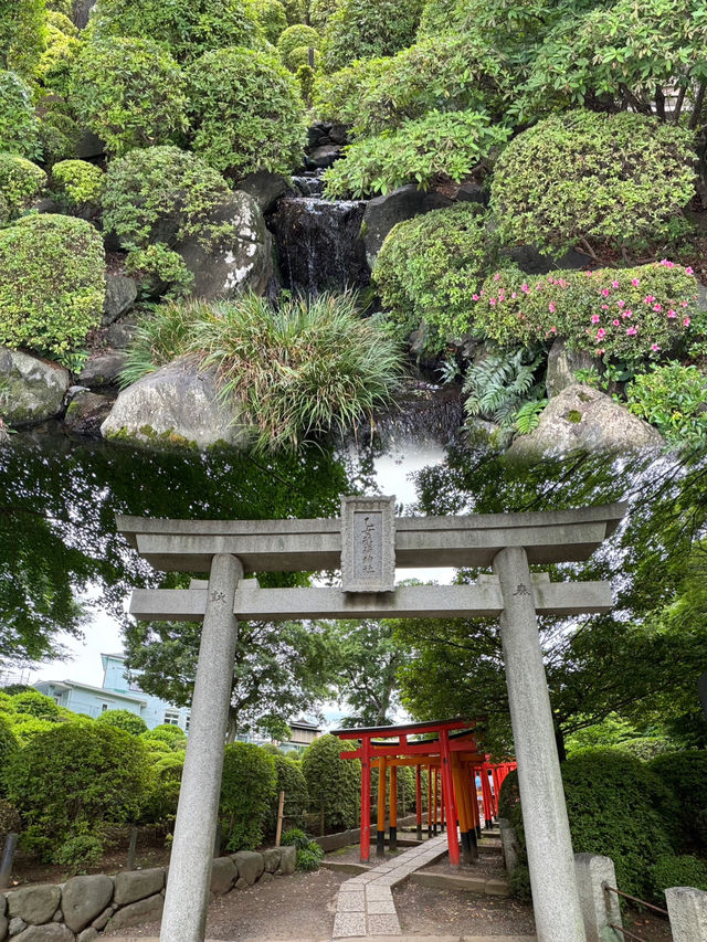  根津神社、根津站與上野動物園一日遊：歷史與自然的和諧之旅⛩️🦁