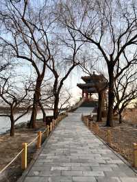 Frozen beauty at Summer Palace