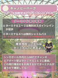 【シンガポール】チャンギ空港がスゴイ！