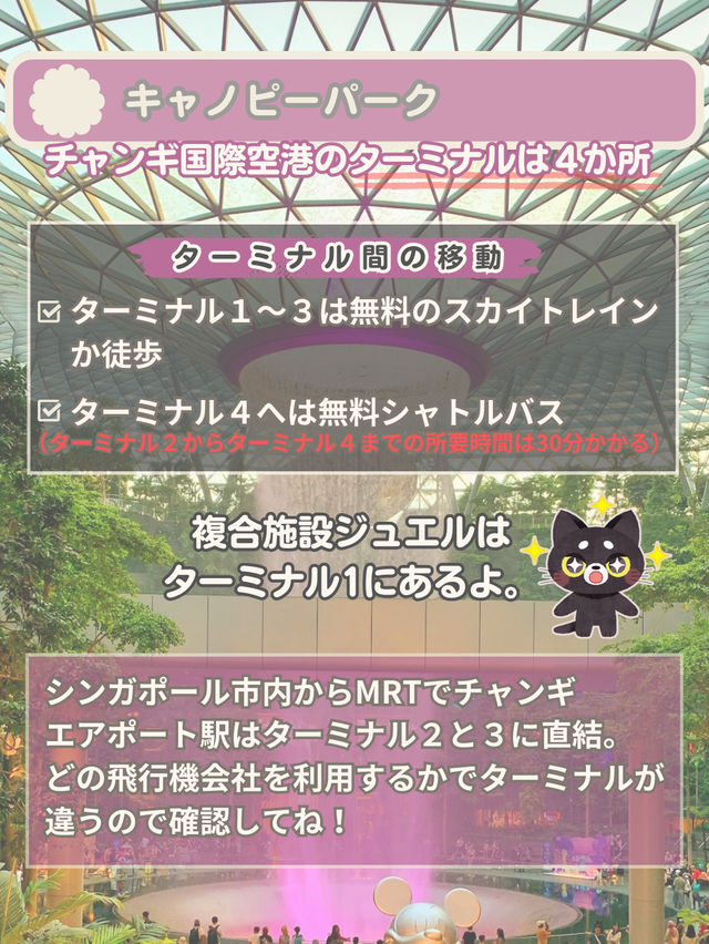 【シンガポール】チャンギ空港がスゴイ！