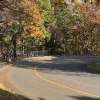 Sapporo Art Park