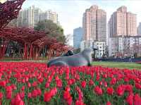 ซากุระ @Jing'an Sculpture Park
