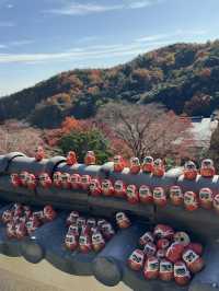 Katsuoji Temple วัดที่เต็มไปด้วยตุ๊กตาดารุมะ