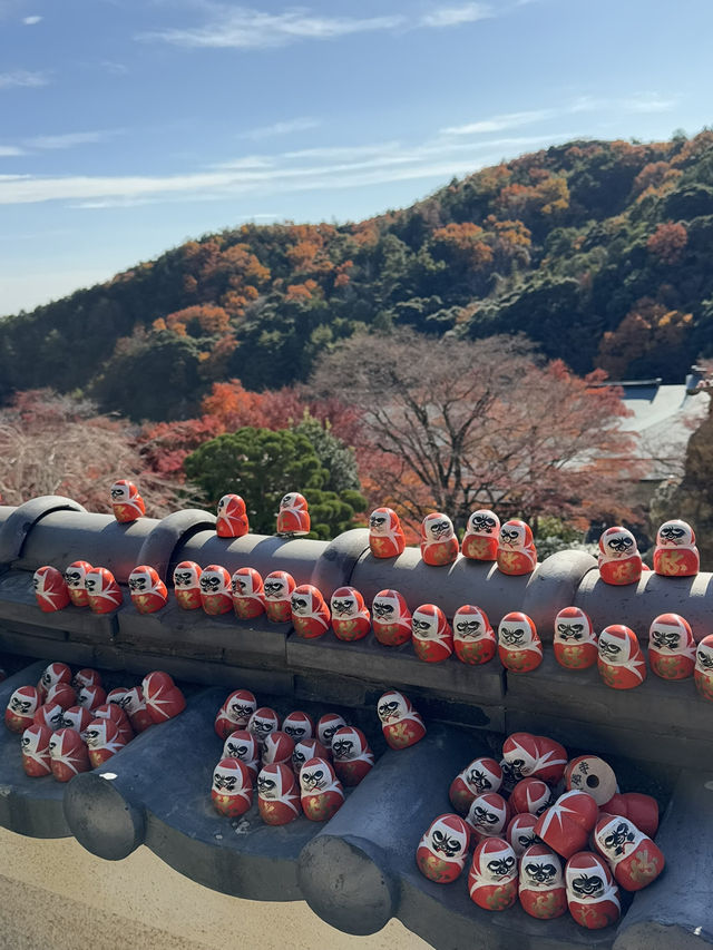 Katsuoji Temple วัดที่เต็มไปด้วยตุ๊กตาดารุมะ