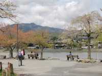 อาราชิยาม่า 