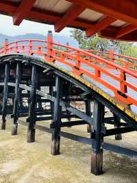 ⛩️ ✅厳島神社（Itsukushima Shrine）攻略ガイド 🦌