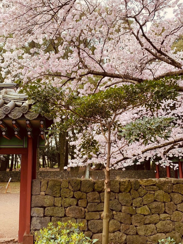 A Photographer’s Paradise in Spring!