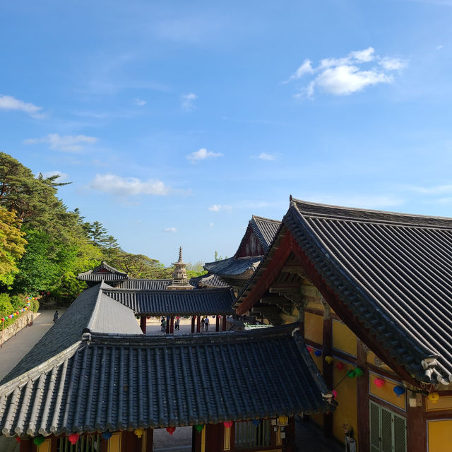 경주 벚꽃 명소 추천 세계문화유산  ▪️불국사