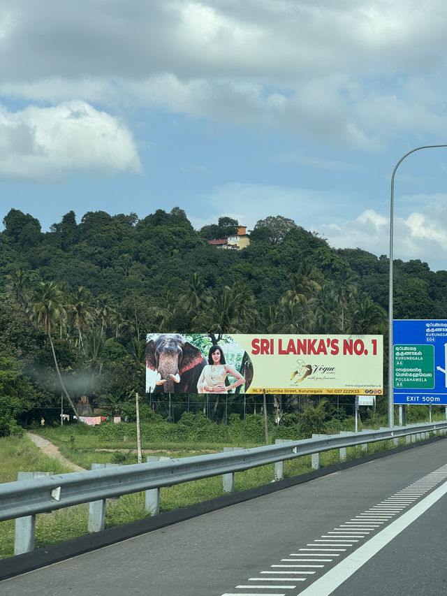 Sri Lanka: A Little Island with a Lot to Offer
