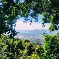 A Stroll Through Yalong Bay’s Flower & Butterfly Garden