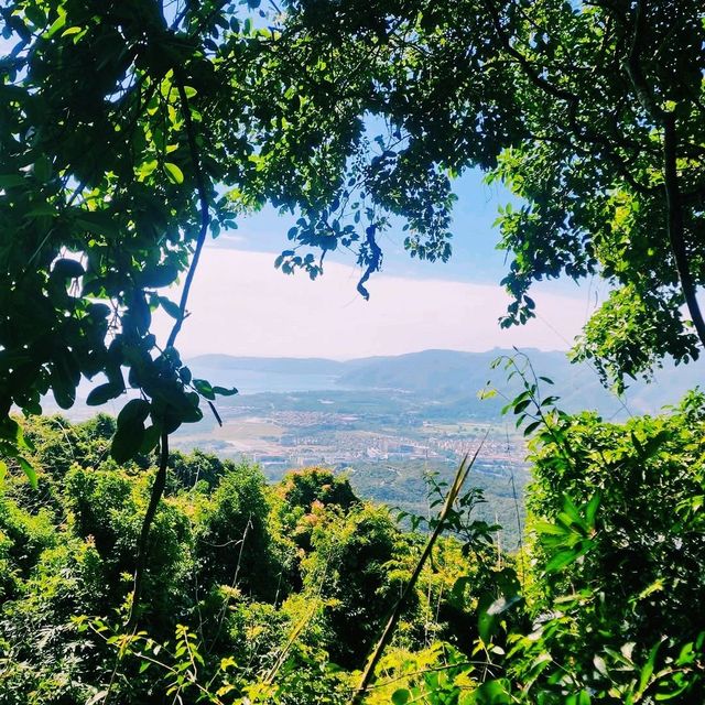 A Stroll Through Yalong Bay’s Flower & Butterfly Garden