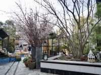 Springtime in Tokyo: Daikanyama TENOHA🌸