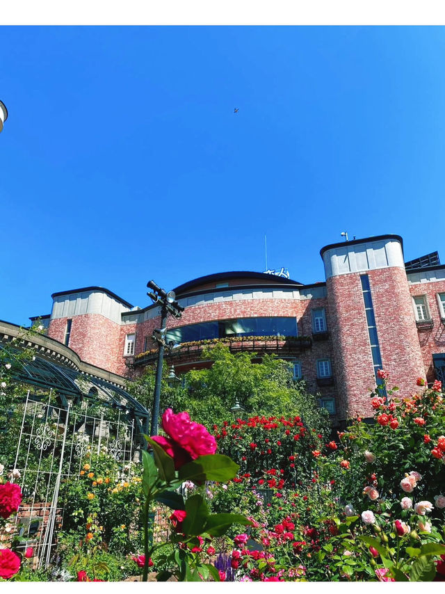 Spring Blossoms in Sapporo: Shiroi Koibito Park🌷