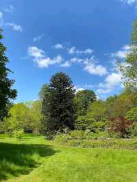 Harris Garden