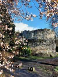 Museum Gardens 